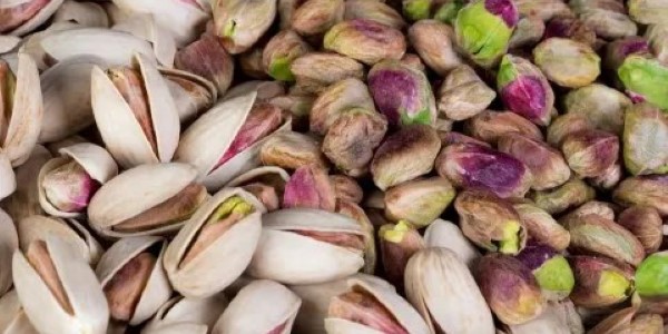 تصویر 1 از خرید پسته اکبری درجه یک + قیمت فروش استثنایی